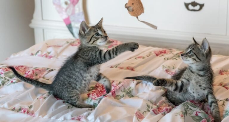 Raise A Happy Cat With This Advice.