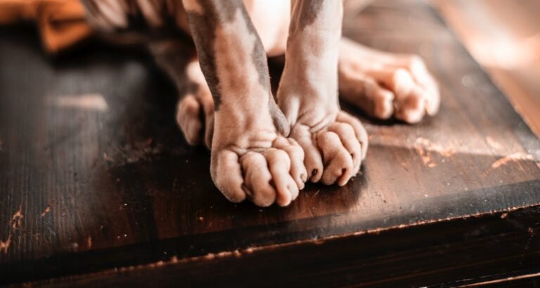 Keeping Kitty Healthy And Happy: Tips You Can Use Today